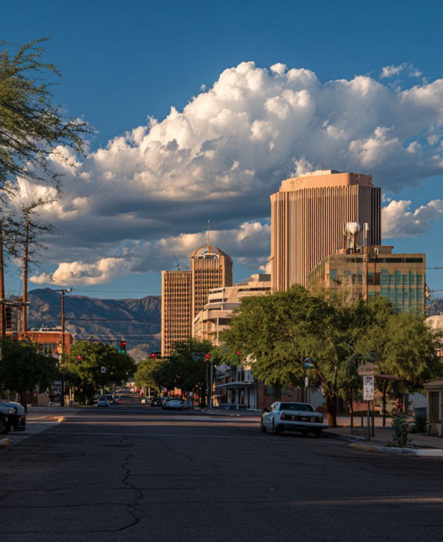 Affordable Tree Health Assessment North Tucson