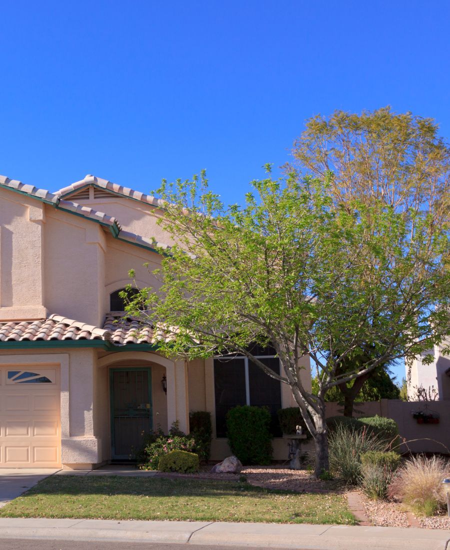 Tree Services In Tucson