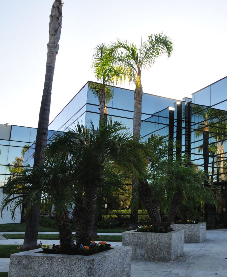 Affordable Commercial Tree Services North Tucson