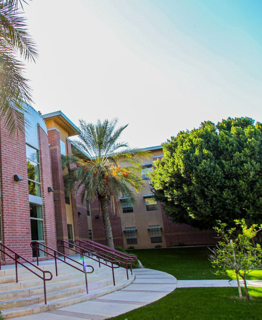 Best tree Preservation Services North Tucson