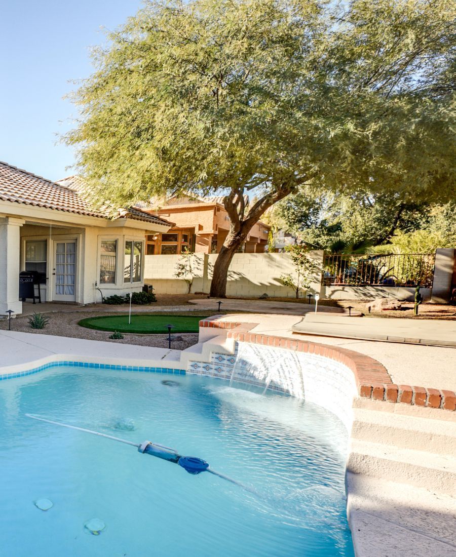 Best Tree Health Assessment Services Marana