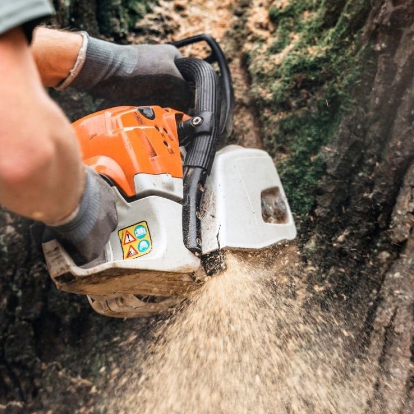 Emergency Tree Services Vail