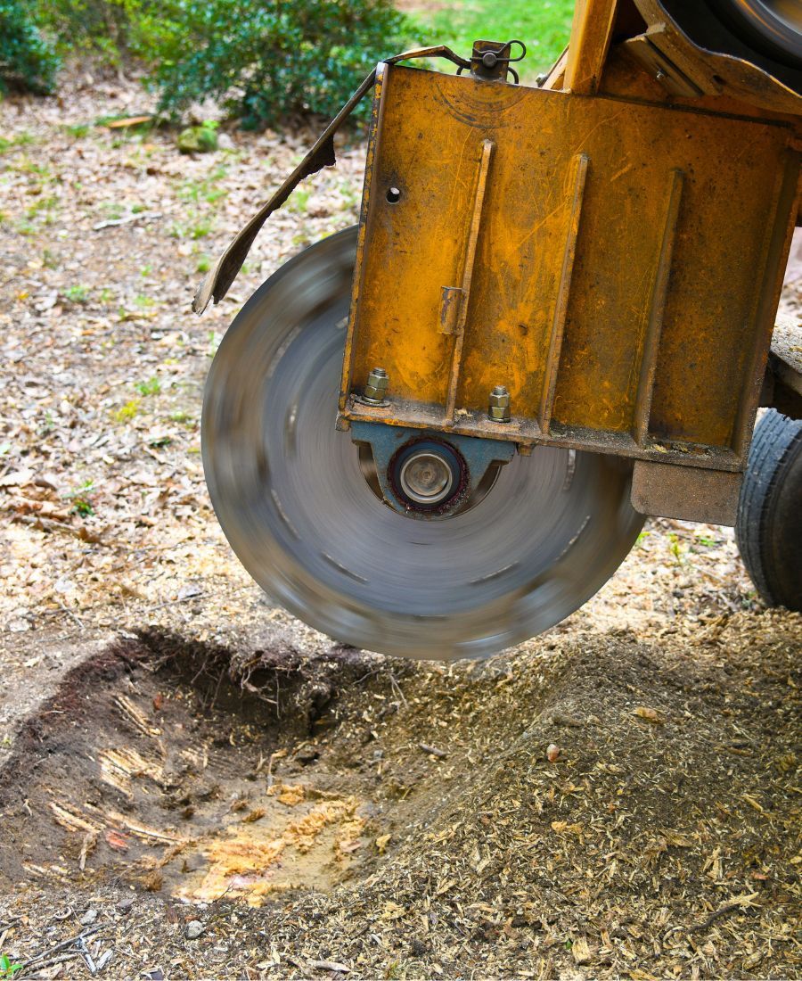 Affordable Stump Grinding Services Green Valley