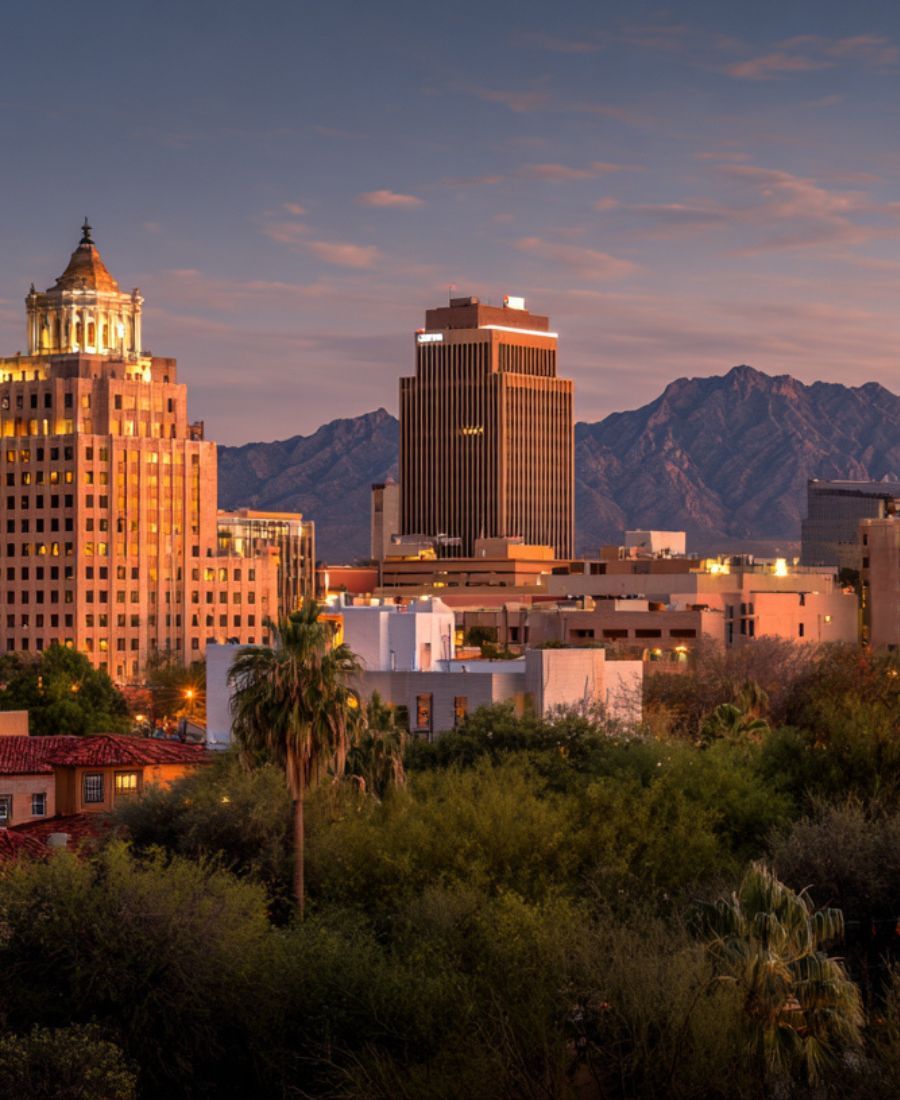 Affordable Tree Preservation Services Oro Valley