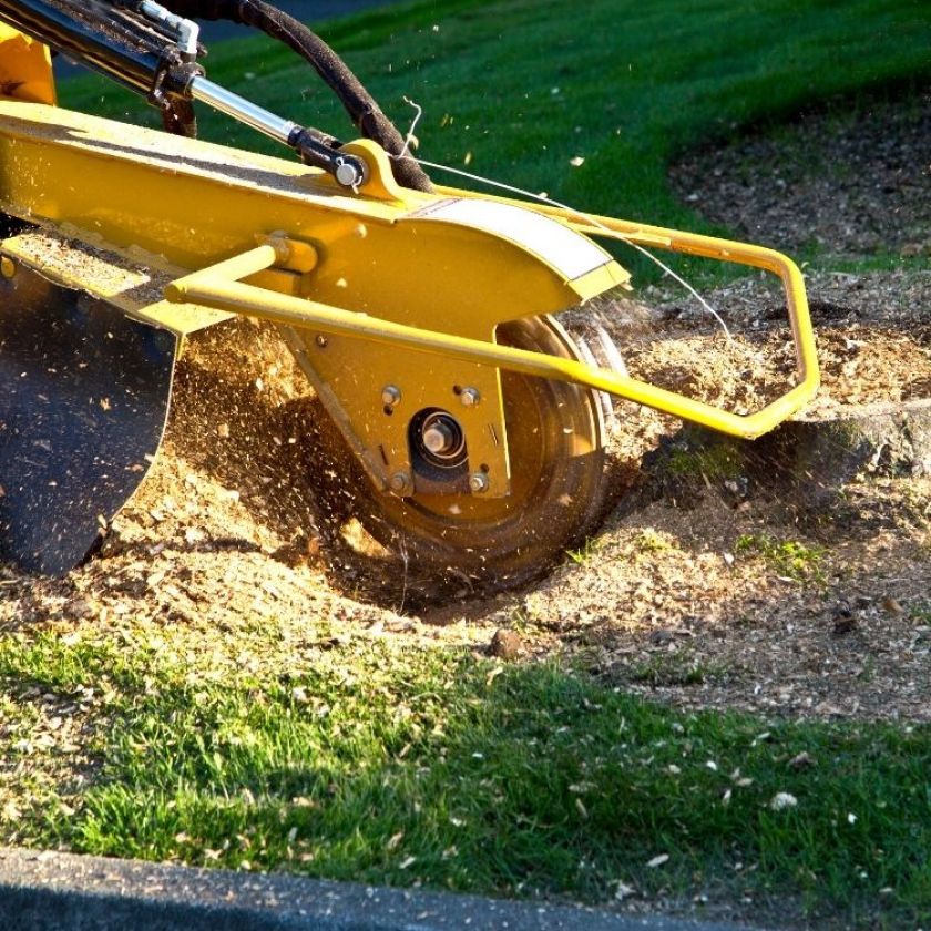 Stump Grinding Services Vail